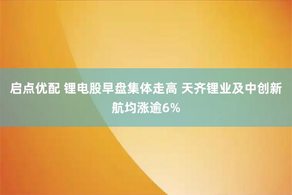 启点优配 锂电股早盘集体走高 天齐锂业及中创新航均涨逾6%