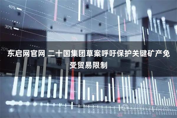 东启网官网 二十国集团草案呼吁保护关键矿产免受贸易限制
