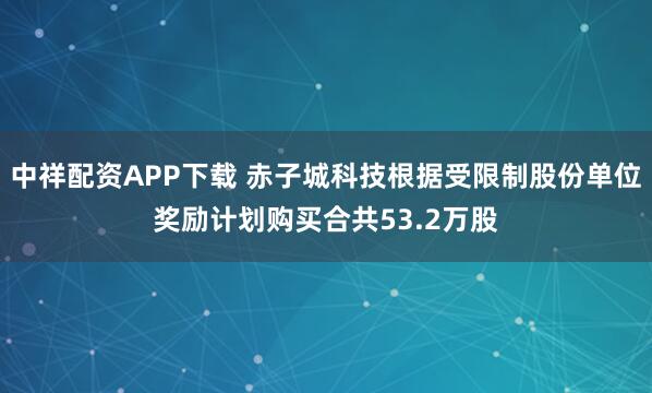中祥配资APP下载 赤子城科技根据受限制股份单位奖励计划购买合共53.2万股