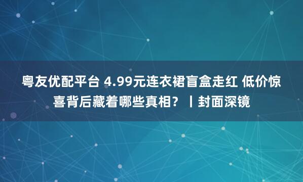 粤友优配平台 4.99元连衣裙盲盒走红 低价惊喜背后藏着哪些真相?丨封面深镜