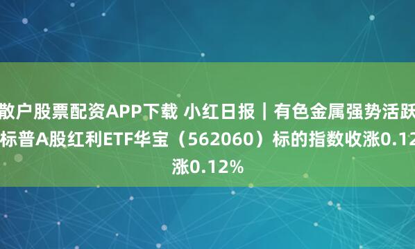 散户股票配资APP下载 小红日报|有色金属强势活跃,标普A股红利ETF华宝(562060)标的指数收涨0.12%
