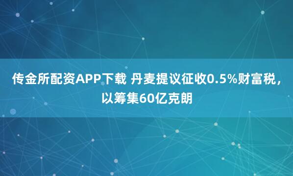 传金所配资APP下载 丹麦提议征收0.5%财富税,以筹集60亿克朗